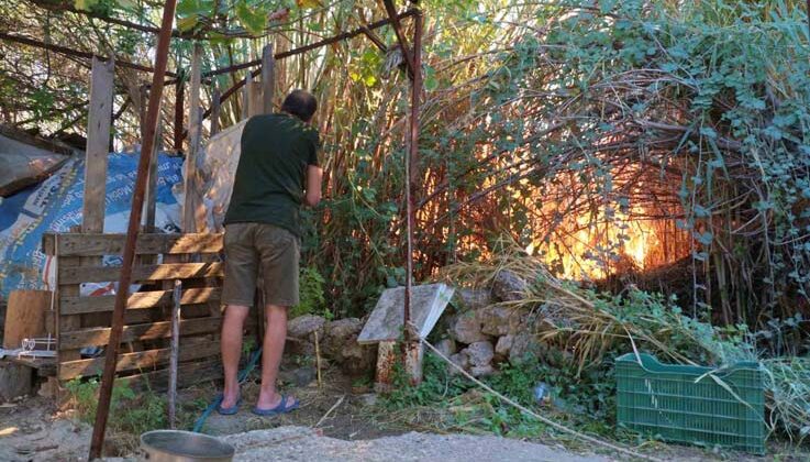 Antalya’da sazlık yangını: 3 sera zarar gördü