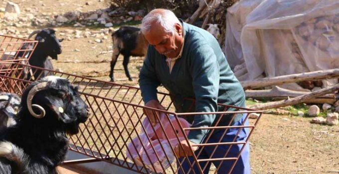 Elmalı’da Çoban Haritası Projesi tamamladı