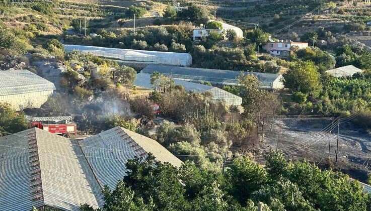 Alanya’da avokado bahçesinde yangın: 60 ağaç kül oldu