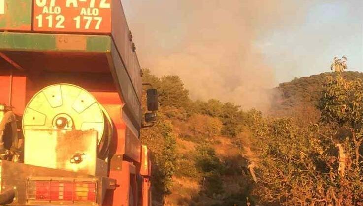 Gazipaşa’da ormanlık alanda çıkan yangın söndürüldü