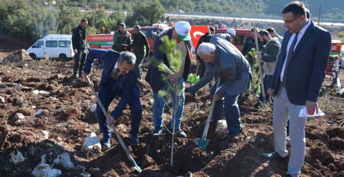 Korkuteli’nde 500 fidan toprakla buluştu