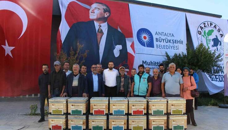 Büyükşehir’den Gazipaşalı arıcılara kovan desteği