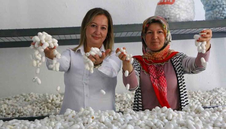 Alanya Sapadere İpek Evi’nde eğitim kursları başladı