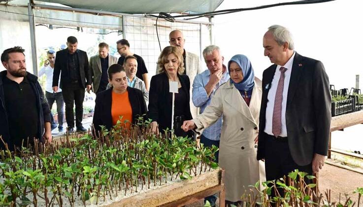 Kepez Belediyesi, ilçeyi kendi yetiştirdiği bitkilerle yeşillendiriyor