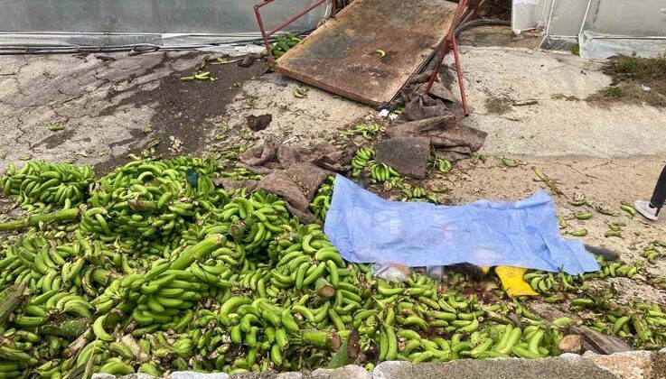 Muz serasında raylı sisteme ait kasanın halatı koptu, ortalık savaş alanına döndü: 2 ölü, 2 yaralı