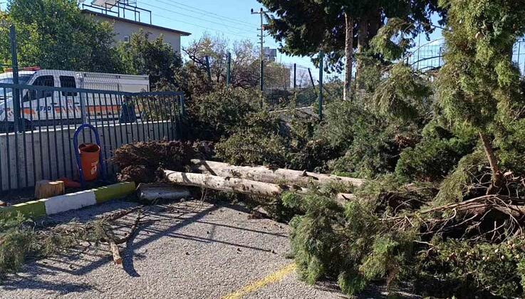 Manavgat’da şiddetli fırtına ve rüzgar ağaçları yıktı, okula zarar verdi