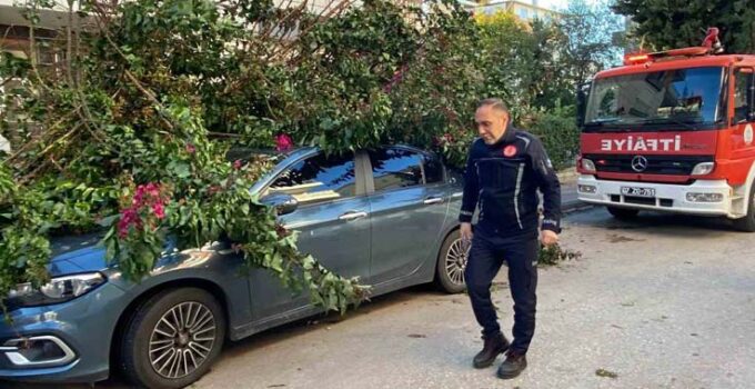 Antalya’da fırtınaya dayanamayan ağaç park halindeki aracın üzerine devrildi