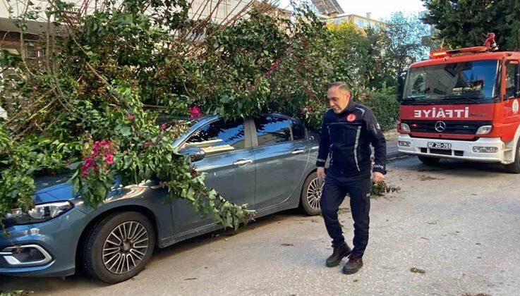 Antalya’da fırtınaya dayanamayan ağaç park halindeki aracın üzerine devrildi