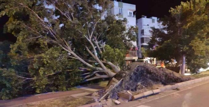 Antalya’da fırtına mesaisi