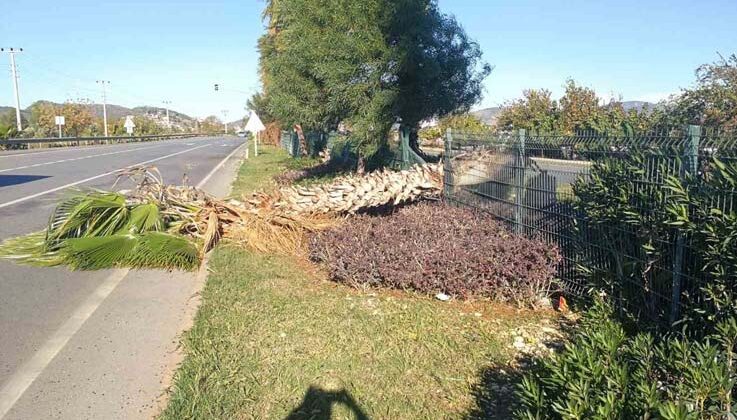 Gazipaşa’da fırtına 250 hektarlık sera alanını vurdu