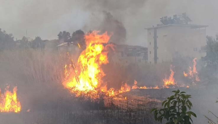 Sazlık alandaki yangına hortum ve bidonlarla müdahale ettiler