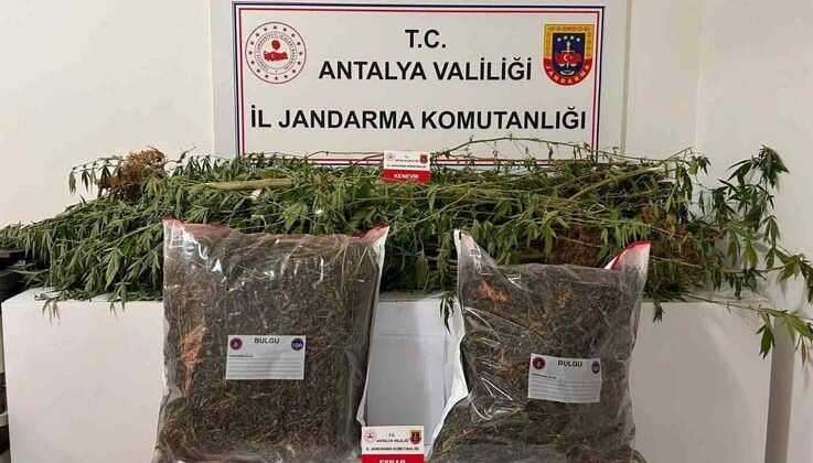 Alanya’da narkotik operasyonları