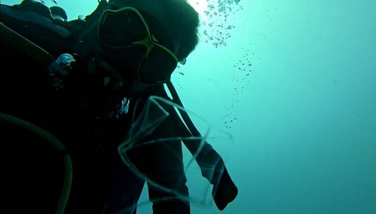 Antalya Körfezi’nde ilk kez görüntülere yansıdı: Sadece berrak suda görülebiliyor