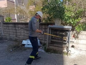 Elektrik baksına giren kedi akıma kapılarak telef oldu