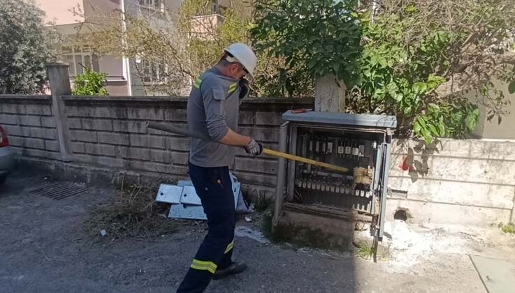 Elektrik baksına giren kedi akıma kapılarak telef oldu