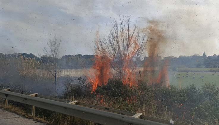 Araçtan atılan sigara yol kenarında yangın çıkardı, ilk müdahale beton mikserinden geldi