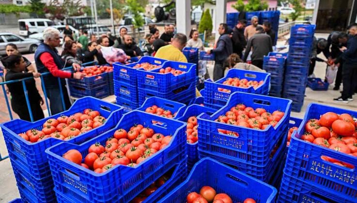 Zirai dona karşı Muratpaşa’dan 10 tonluk domates desteği